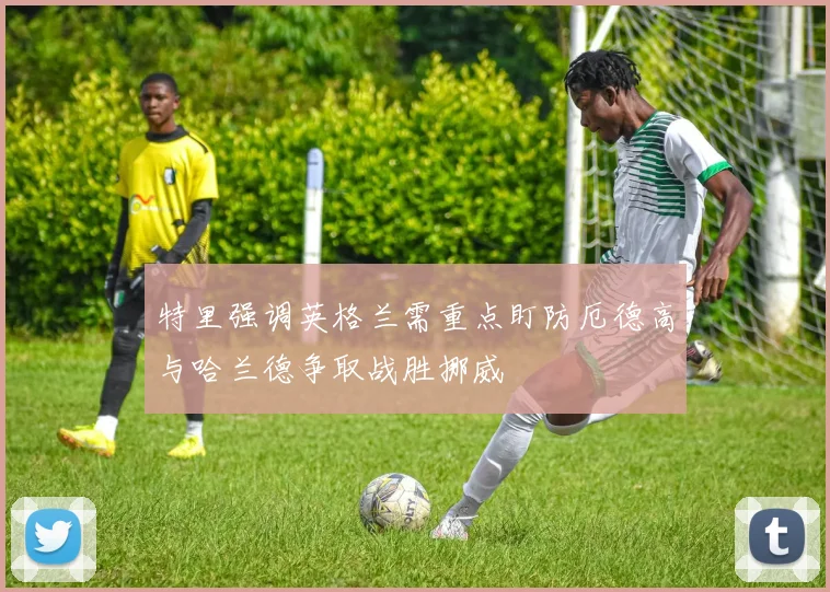 特里强调英格兰需重点盯防厄德高与哈兰德争取战胜挪威